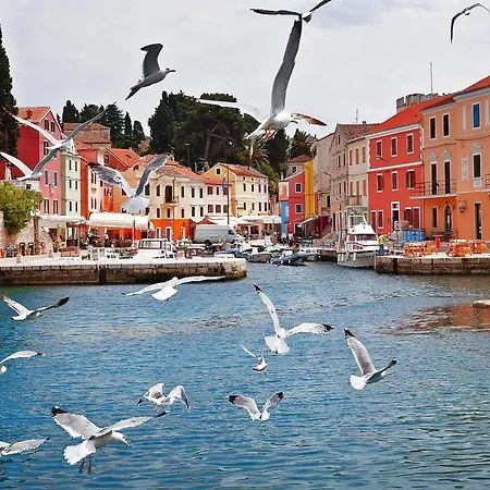 Daire In Veli Lo Inj By The Veli Lošinj